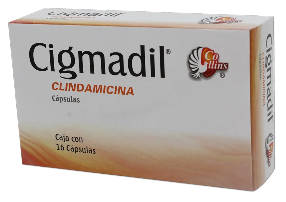 [780083142605] Cigmadil 300 mg c16 Capsulas (Clindamicina)